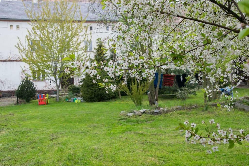 Gospodarstwo U Krakusa Doboszowice Εξωτερικό φωτογραφία