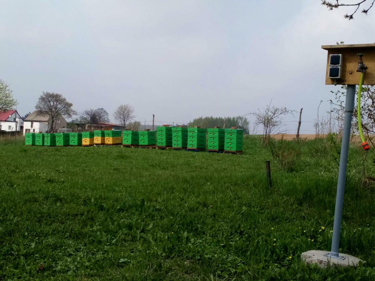 Gospodarstwo U Krakusa Doboszowice Εξωτερικό φωτογραφία